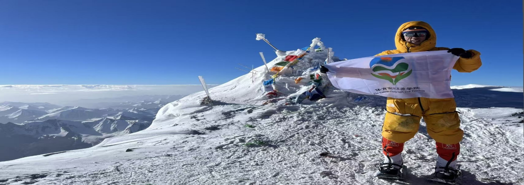 搜球体育平台