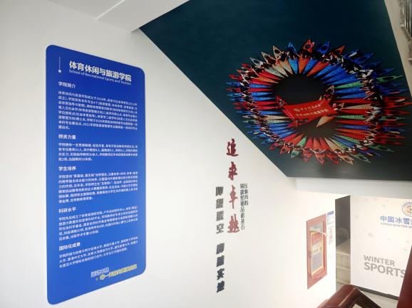 搜球体育平台图片