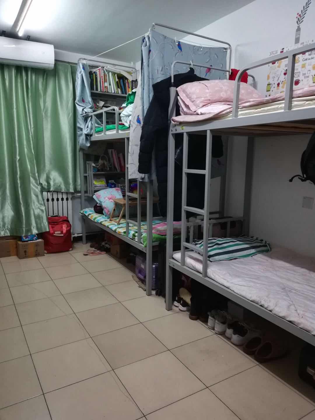 搜球体育备用网址图片